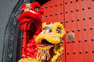 Chinese traditional performance lion dance