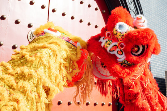 Chinese traditional performance lion dance