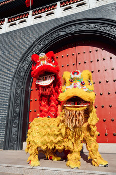 Chinese traditional performance lion dance