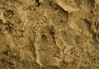 yellow background with mud after rain