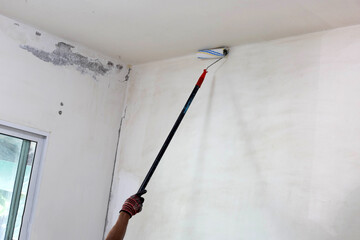 Worker hand hold paint roller, Painting a wall