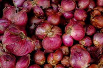 Shallots close up in the market for background