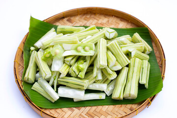 Moringa oleifera isolated on white background.