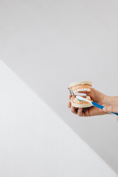 Dental Care