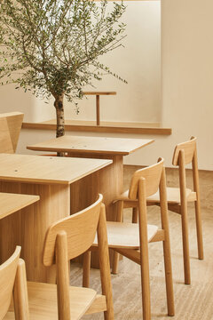 Lumber chairs and tables near potted tree