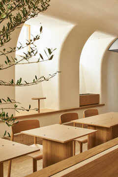 Lumber chairs and tables near potted tree