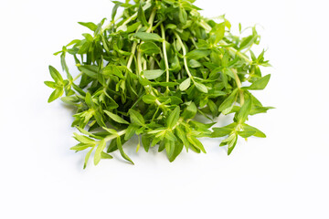 Fresh paddy rice herb on white background.