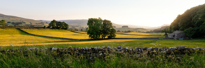 Wensleydale Fields Yorkshire Dales