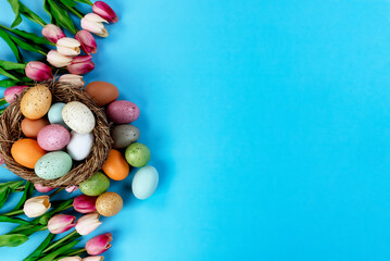 Tulip flowers and nest plus colorful eggs on a sky blue background for the Easter holiday season