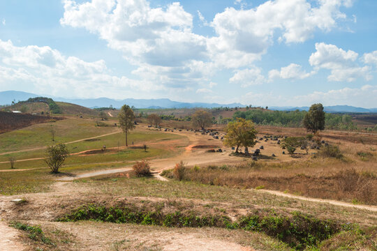 Panoramic view on Plain of Jars - unique archaeological landscape destroyed from cluster bombs. Phonsovan, Xieng Khouang Province, Laos.