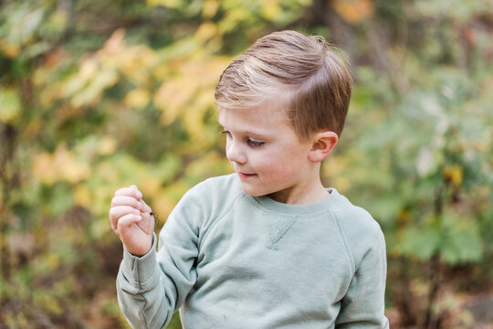 boy holding a spider
