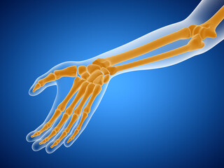 Obraz na płótnie Canvas Medical scan of human hand. 3D illustration.
