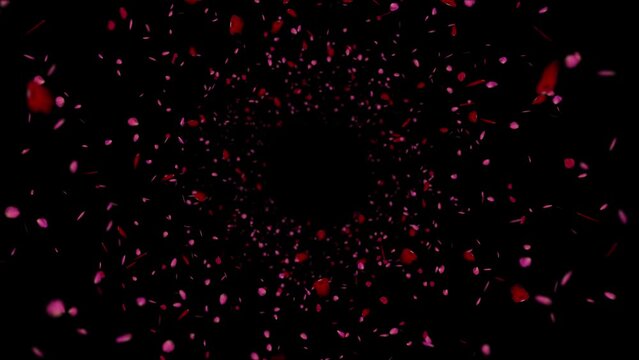 rose petals animation with black and green screen
