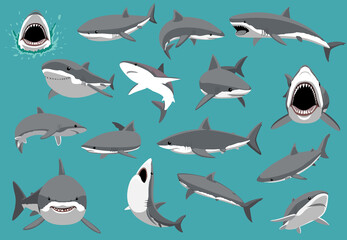 Great White Shark Sixteen Poses Cartoon Vector Illustration