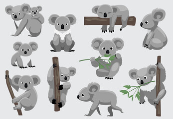Cute Koala Ten Poses Cartoon Vector Illustration - obrazy, fototapety, plakaty