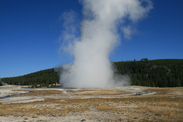 Old Faithful Geyser erupting, Yellowstone National Park