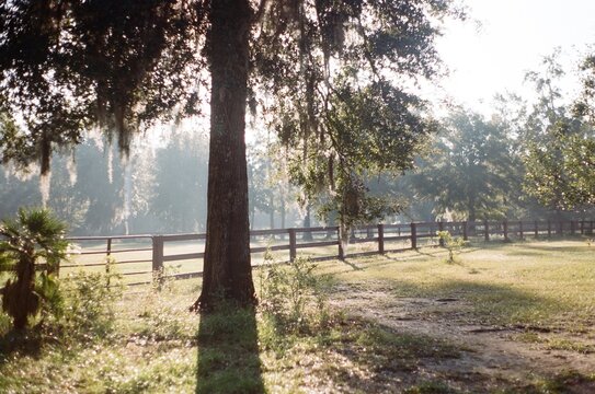 Lowcountry Light on Film