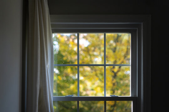 Window with beautiful foliage blurred outside