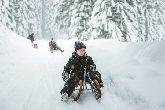 boy on his sled in winter forest