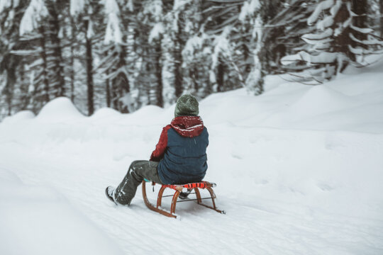 boy sledding through forest