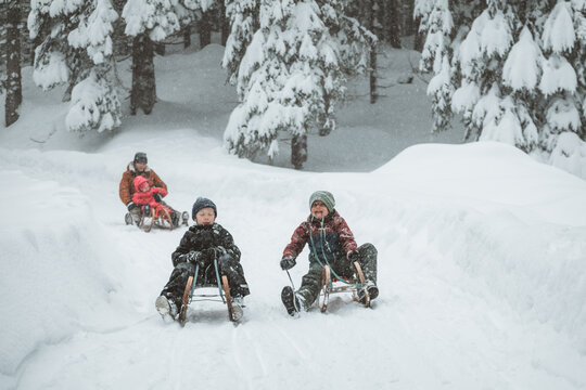 sledding fun