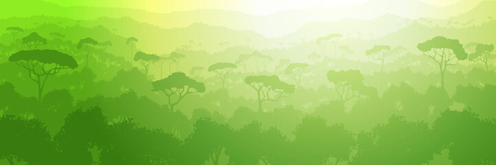 Rainforest hills, jungle. Panoramic view of southern nature, morning light.