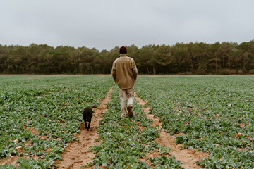 Man and dog walking on sown field in nature