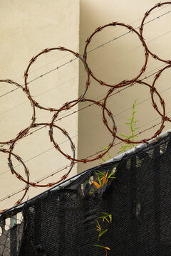 Razor Barbed Wire Circles on Security Fence