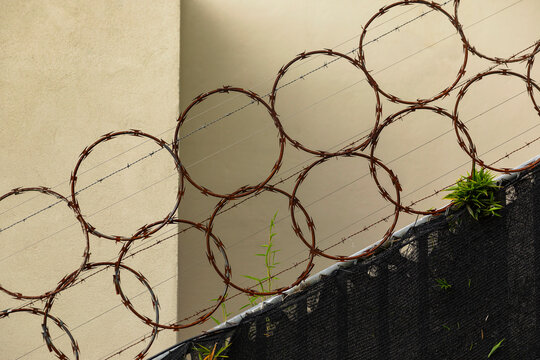 Razor Wire Circles on Security Fence