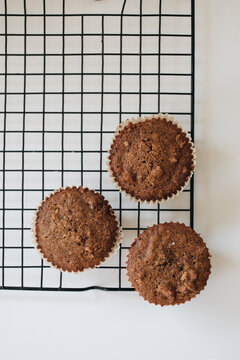 Healthy Muffins