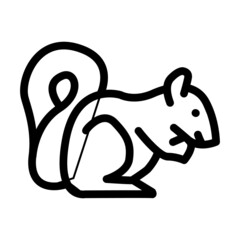 squirrel wild animal line icon vector. squirrel wild animal sign. isolated contour symbol black illustration