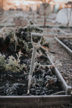 A Garden Fork in the Frost