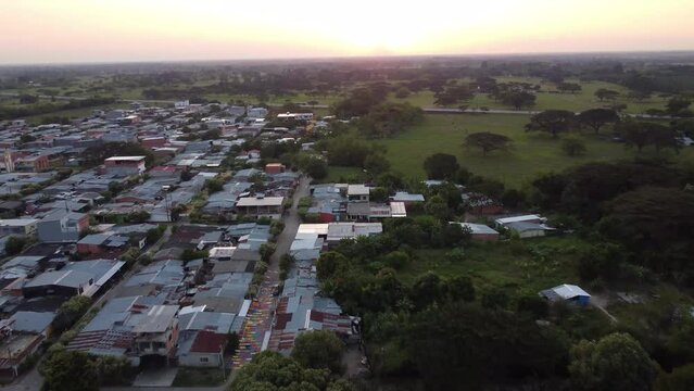 Verde en el horizonte