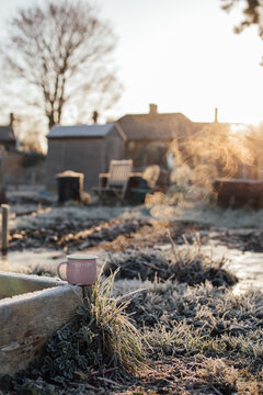 A Steaming Mug in the Frost