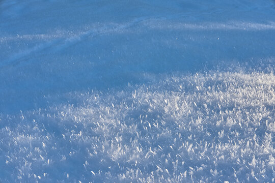 Sunlit snow crystals