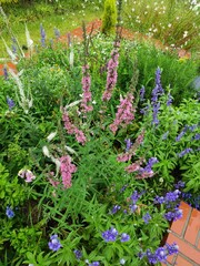 The streets of autumn in Korea.