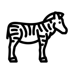Fototapeta na wymiar zebra animal line icon vector. zebra animal sign. isolated contour symbol black illustration
