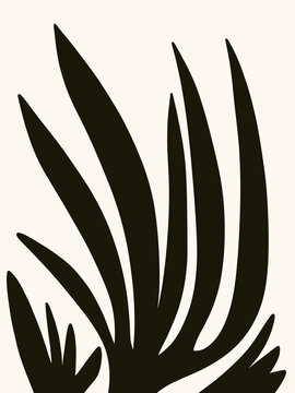 Abstract Botanical Drawing In Black