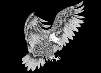 Eagle Illustration 