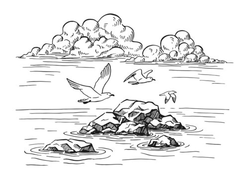 Seascape. Landscape, sea, rocks, seagulls. Hand drawn illustration converted to vector.