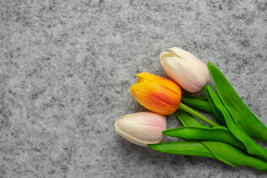 Tulips flower on gray background, white, yellow and orange tulips, Valentine's day background used for desktop wallpaper or website design.