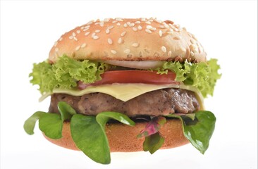 hamburger isolated on white