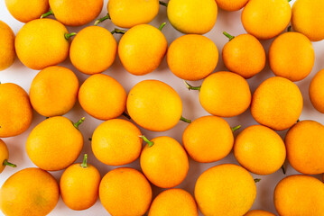 Autumn harvest of fresh fruit kumquats