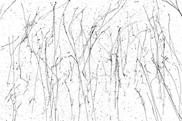 Black paint splatter isolated on white background. Distressed overlay texture. Water splash silhouette. Grunge design elements. Vector illustration, EPS 10.