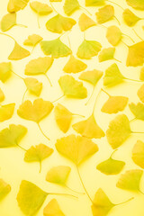 autumn ginkgo leaf poster background material