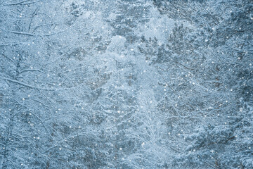 Fototapeta na wymiar View of the snowfall in the snowy forest. Texture of winter fairy forest.