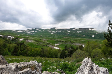 A forest standing by the rocks, overlooking the Alpine meadows. The Lago-Naki plateau in Adygea. Russia. 2021