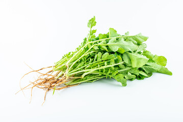 Handful of fresh organic vegetable radish sprouts on white background