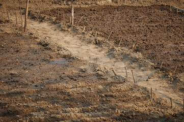 Prepared beds for planting crops. Small family garden. Early spring. Path between strips of dug up soil. Planted seeds are marked with sticks.