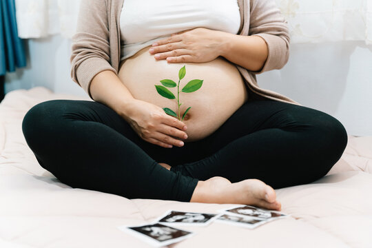 A Pregnant woman holds green sprout plant near her belly as symbol of new life, Mother, wellbeing, fertility, unborn baby health. Concept pregnancy, maternity, eco sustainable lifestyle, gynecology.